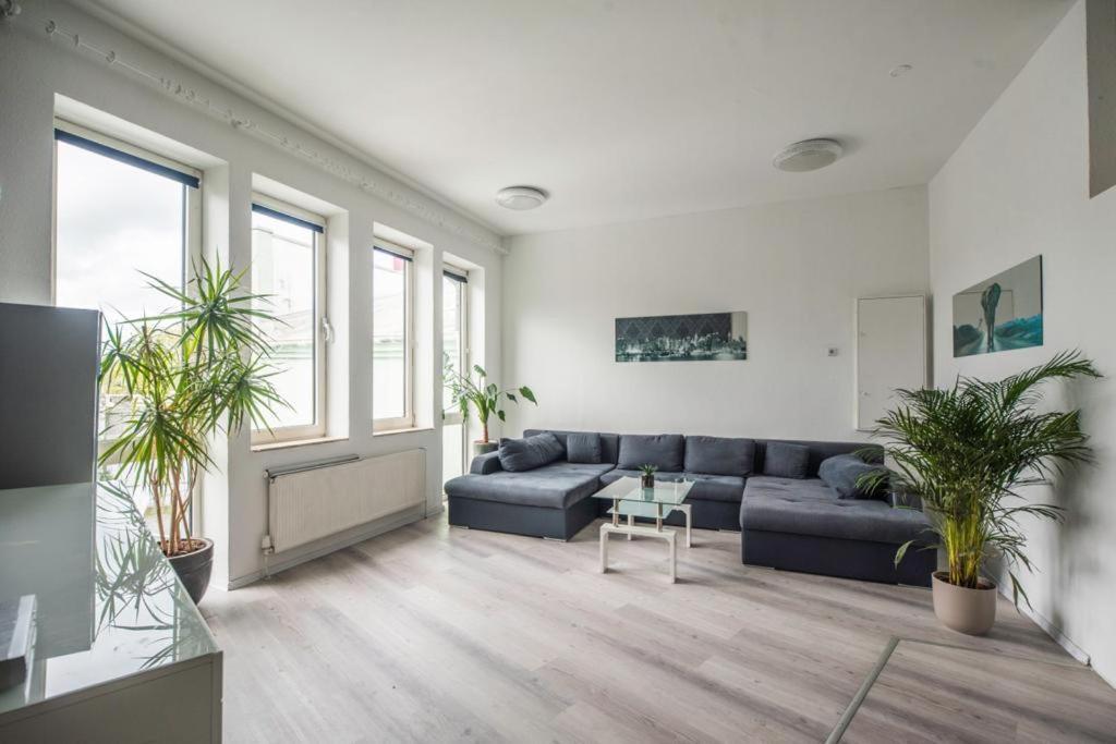 Apartment Gemuetliche Ferienhaushaelfte Im Herzen Mainz